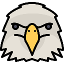 Falcon head